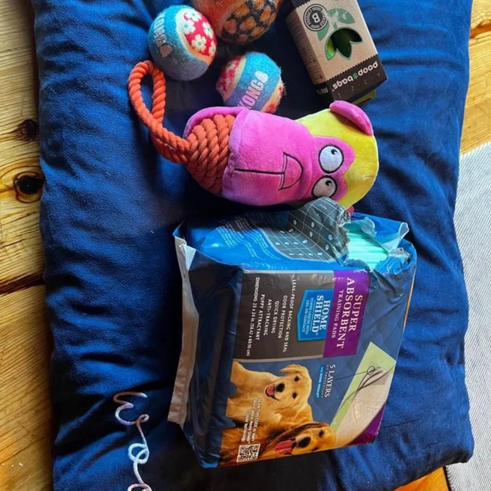 Pooch Pen Pet Bed Puppy Pads Clean Up Bags Kong Balls Toys Bundle 🥳 Host Pick 🥳